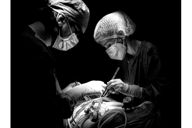 Surgeons