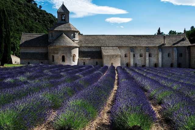 Senanque Abbey