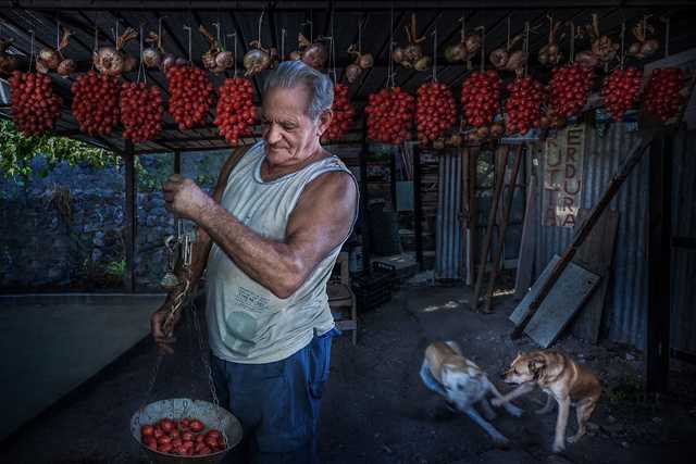 Zio Mimì e i suoi pomodori