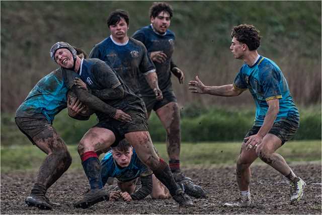 Rugby 16