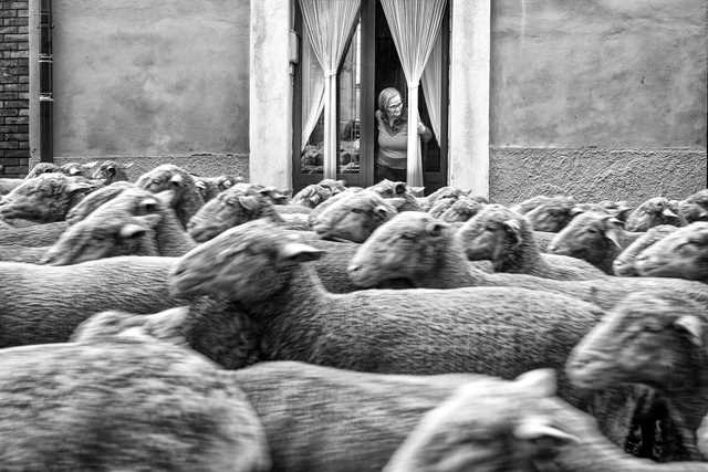 seggi aperti