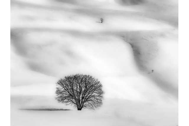 Hymn to Silence