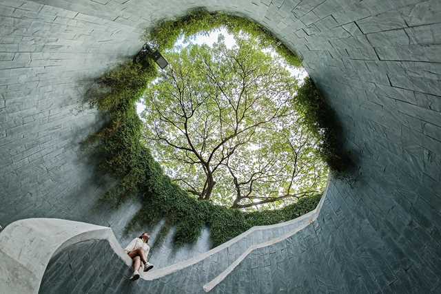 Tree tunnel