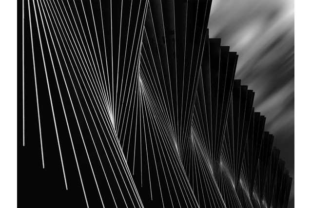 White Lines